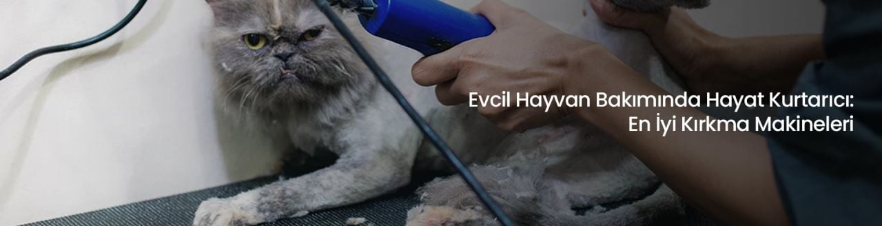 Evcil Hayvan Bakımında Hayat Kurtarıcı: En İyi Kırkma Makineleri