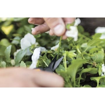 Fiskars 1063321 SP-131 Bitki ve Meyve Hasat Makası İnce Uçlu