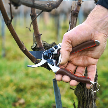 Felco 8 Elite Budama Makası