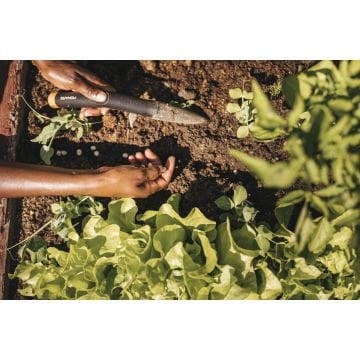 Fiskars 1057080 Solid Fide Dikme Aleti