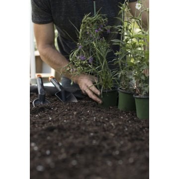 Fiskars 1000694 Solid Küçük Toprak Küreği