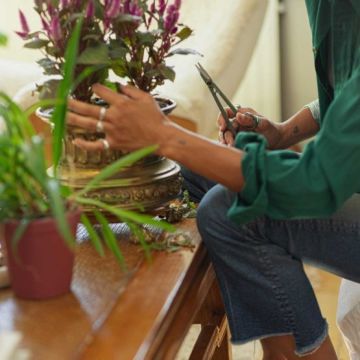 Fiskars 1075315 Kutulu İnce Uçlu Bitki Bakım Makası