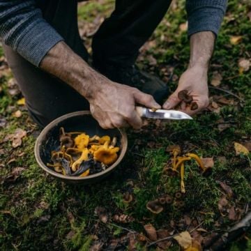 Fiskars 1072090 Norden Ahşap Saplı Bıçak