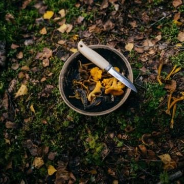 Fiskars 1072090 Norden Ahşap Saplı Bıçak