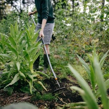 Fiskars 1076979 Ergonomik Kavisli Bahçıvan Çapası