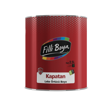 Filli Boya Kapatan Leke Örtücü Boya 0,25 Lt