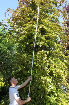 Ars 160ZF 3.0-5 Teleskopik Yüksek Dal Budama Makası