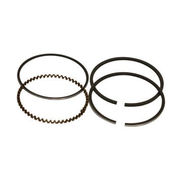 Palmera 5510501 Segman Takım 68 Mm (WM168,PA065 uyumlu)