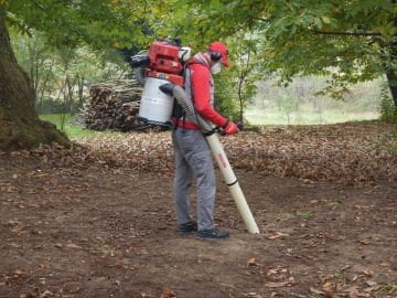 Cifarelli V1200 Fındık Toplama Makinası