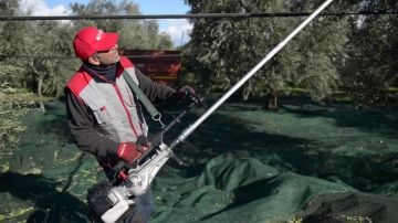 Cifarelli SC 605 Zeytin Silkeleme Makinesi