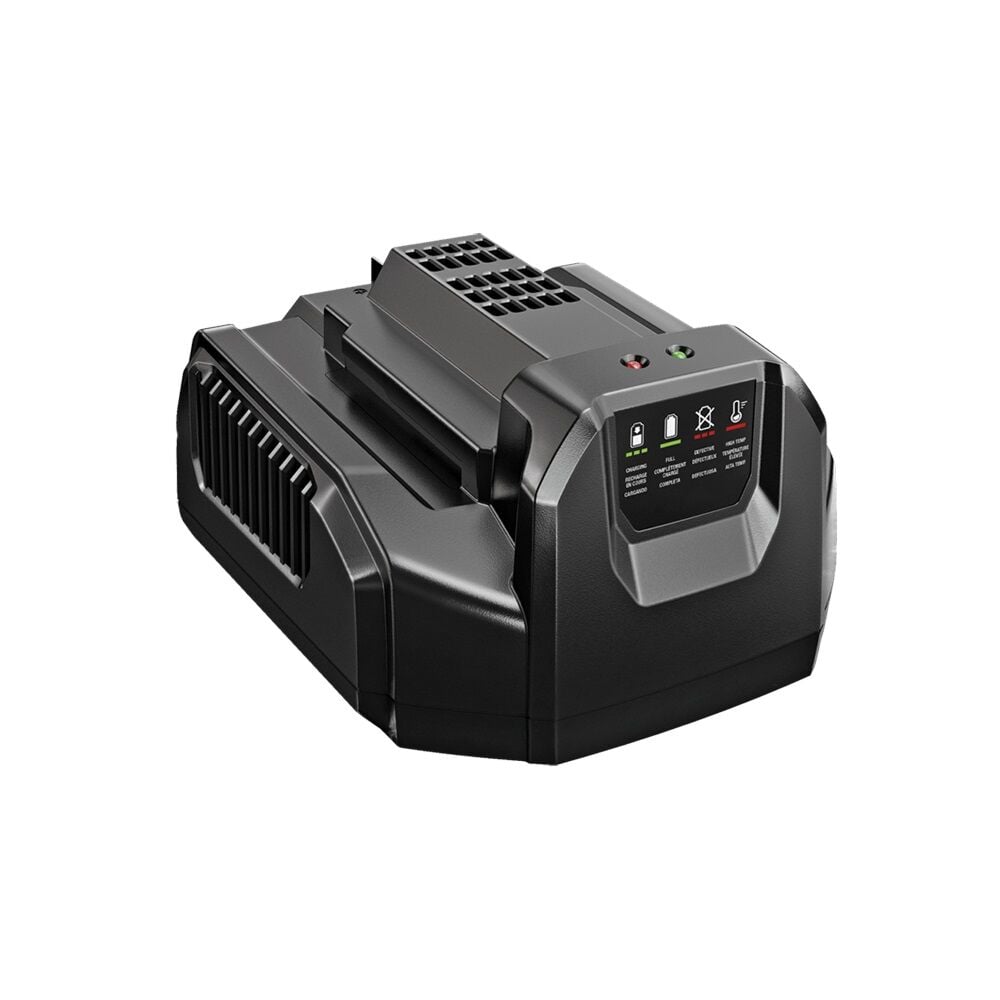 Ego CH2100E 210W Standart Şarj Cihazı