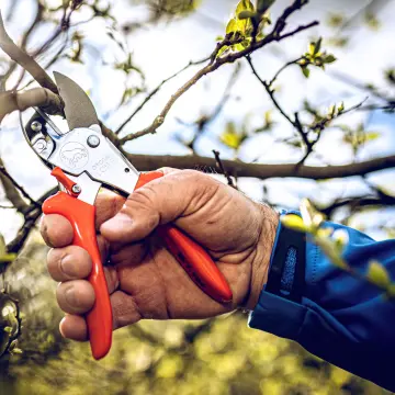 LÖWE 1.104 Örs Budama Makası