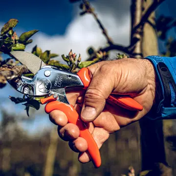 LÖWE 2.107 Örs Budama Makası