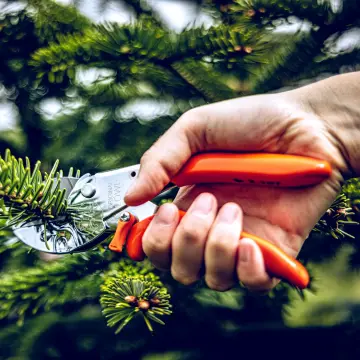LÖWE 2.107 Örs Budama Makası