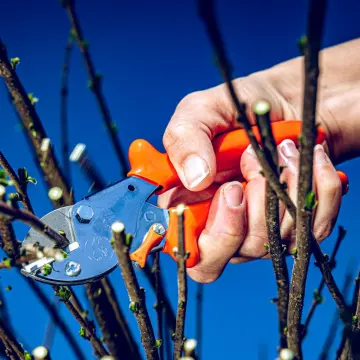 LÖWE 5.104 Örs Budama Makası