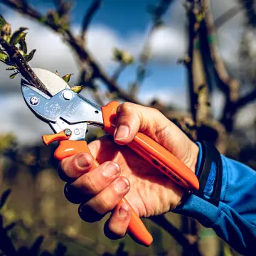 LÖWE 5.104 Örs Budama Makası