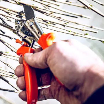 LÖWE 5.107 Örs Budama Makası