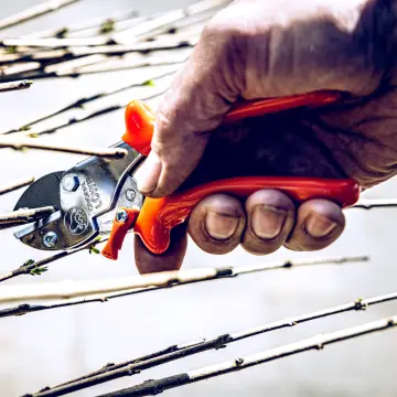 LÖWE 5.107 Örs Budama Makası