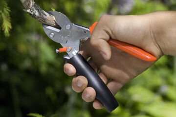 LÖWE 5.109 Örs Budama Makası Oynar Sap