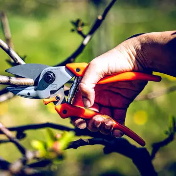 LÖWE 6.107 Örs Budama Makası