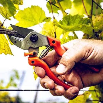 LÖWE 7.104 Örs Budama Makası