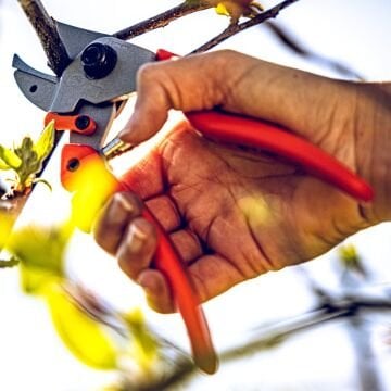 LÖWE 7.107 Örs Budama Makası