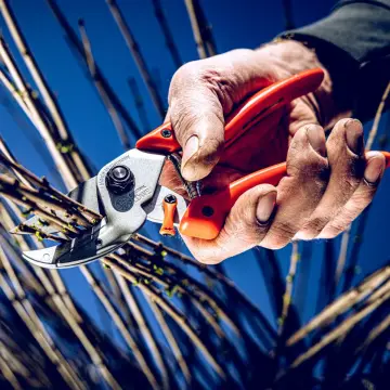 LÖWE 8.104 Örs Budama Makası