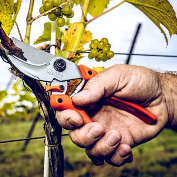 LÖWE 9.104 Hibrit Budama Makası