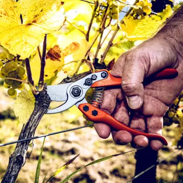 LÖWE 11.104 Bypass Budama Makası