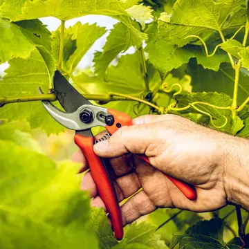 LÖWE 14.104 Bypass Budama Makası