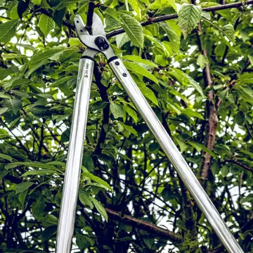 LÖWE 20.080 Kollu Örs Kalın Dal Budama Makası