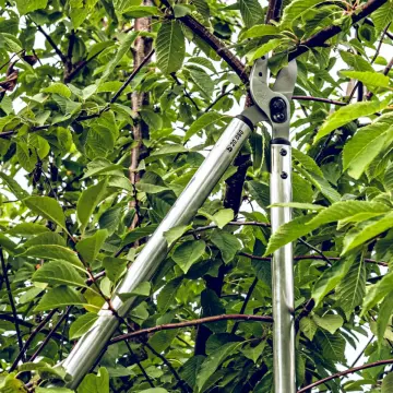 LÖWE 20.100 Kollu Örs Kalın Dal Budama Makası