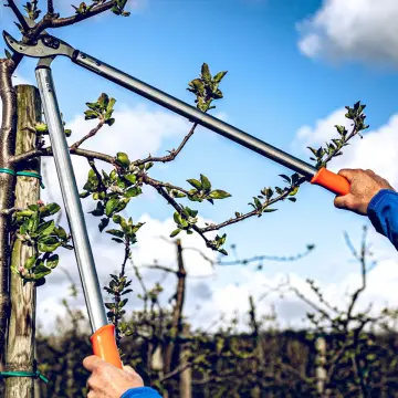 LÖWE 22.080 Kollu Örs Kalın Dal Budama Makası