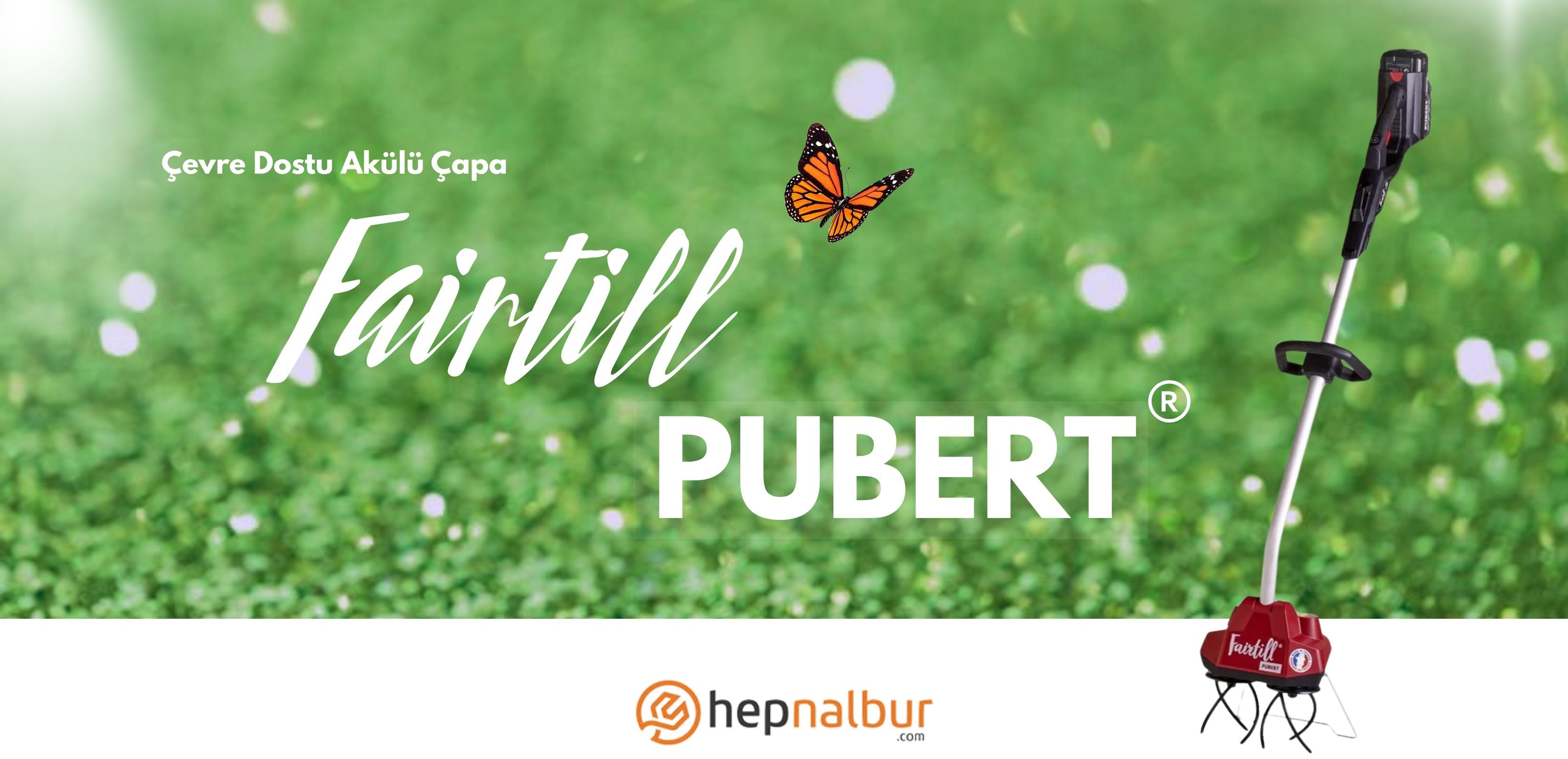 https://www.hepnalbur.com/arama/fairtill